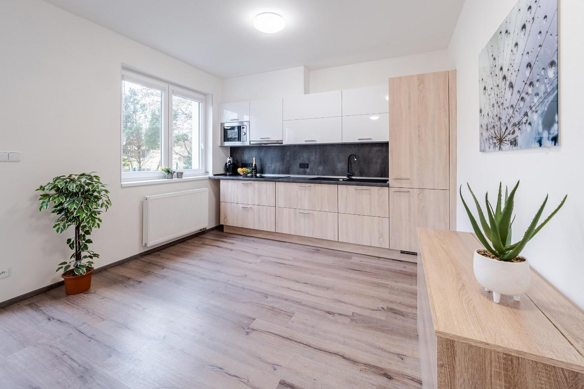 Private Luxury Apartments - Apartman G3 Frymburk Dış mekan fotoğraf