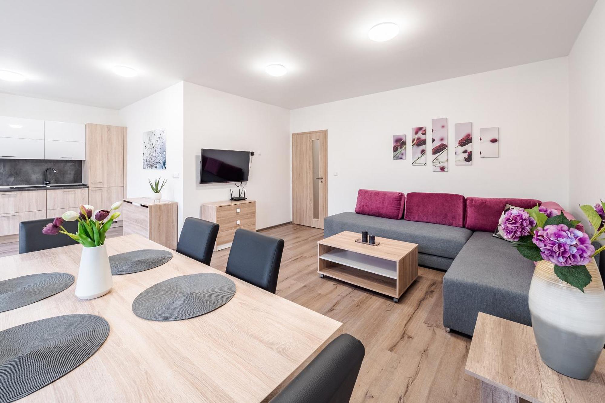Private Luxury Apartments - Apartman G3 Frymburk Dış mekan fotoğraf