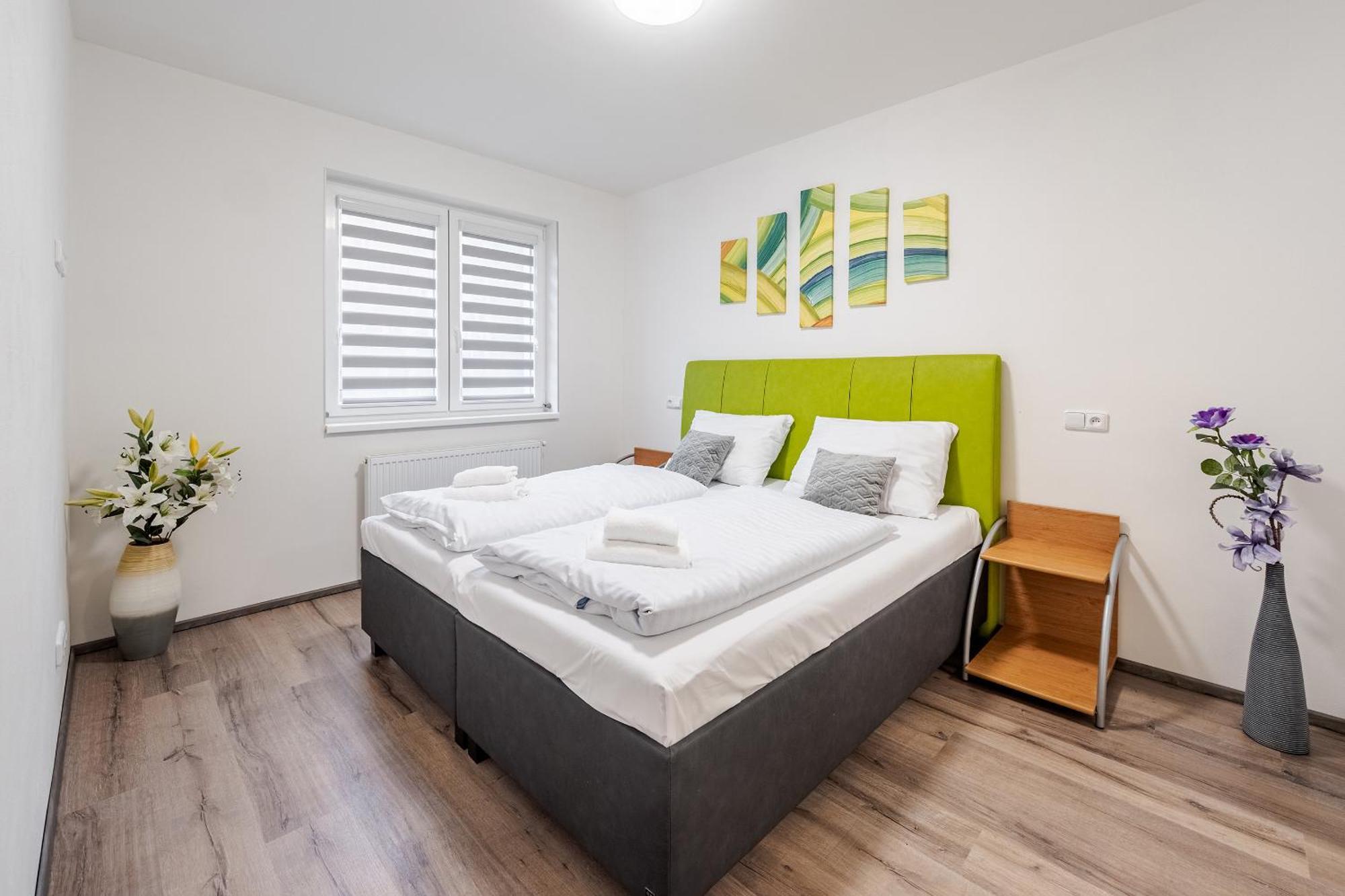 Private Luxury Apartments - Apartman G3 Frymburk Dış mekan fotoğraf